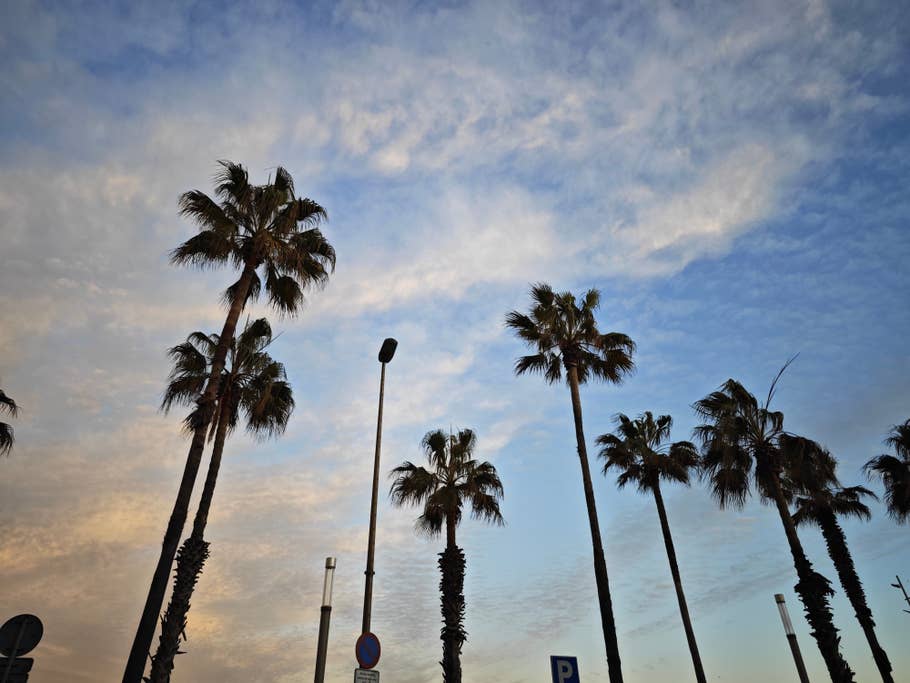 Xiaomi 13 Pro photo sample