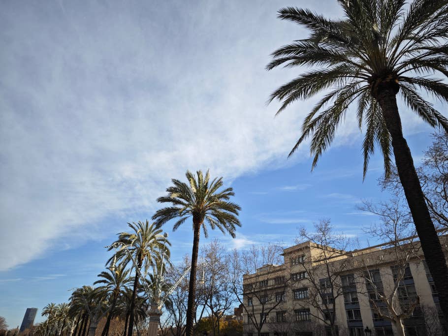 Xiaomi 13 Pro photo sample