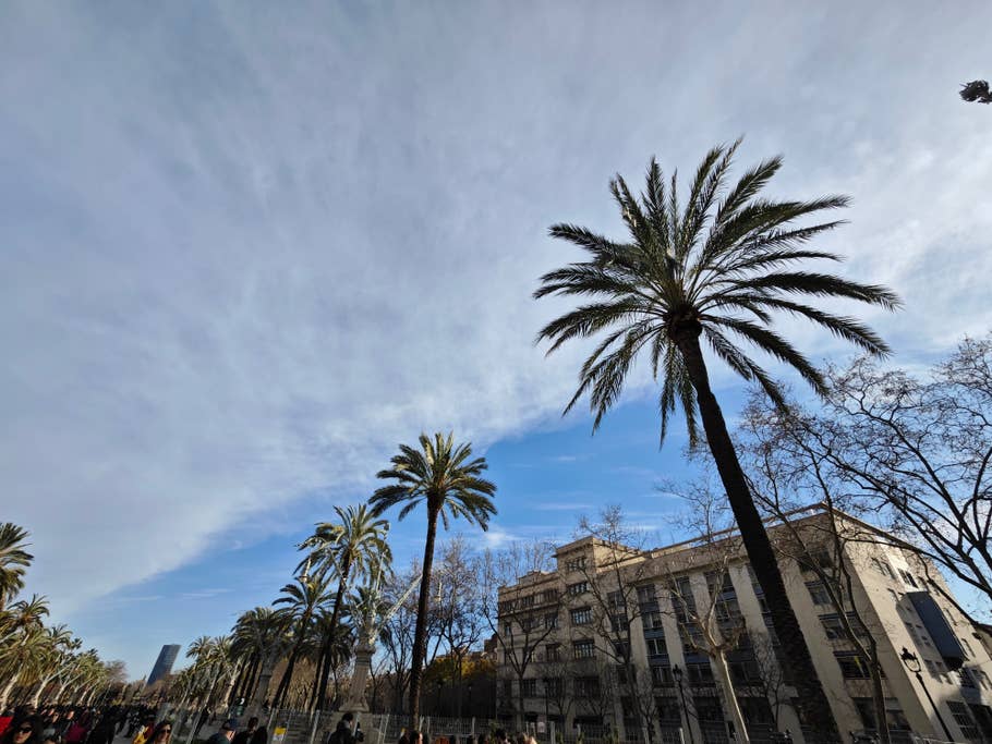 Xiaomi 13 Pro photo sample