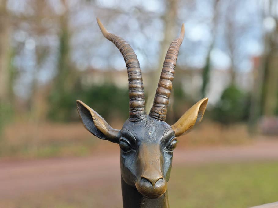 Portrait mode by the Xiaomi 14