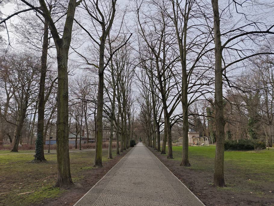 Daytime photo by the Xiaomi 14