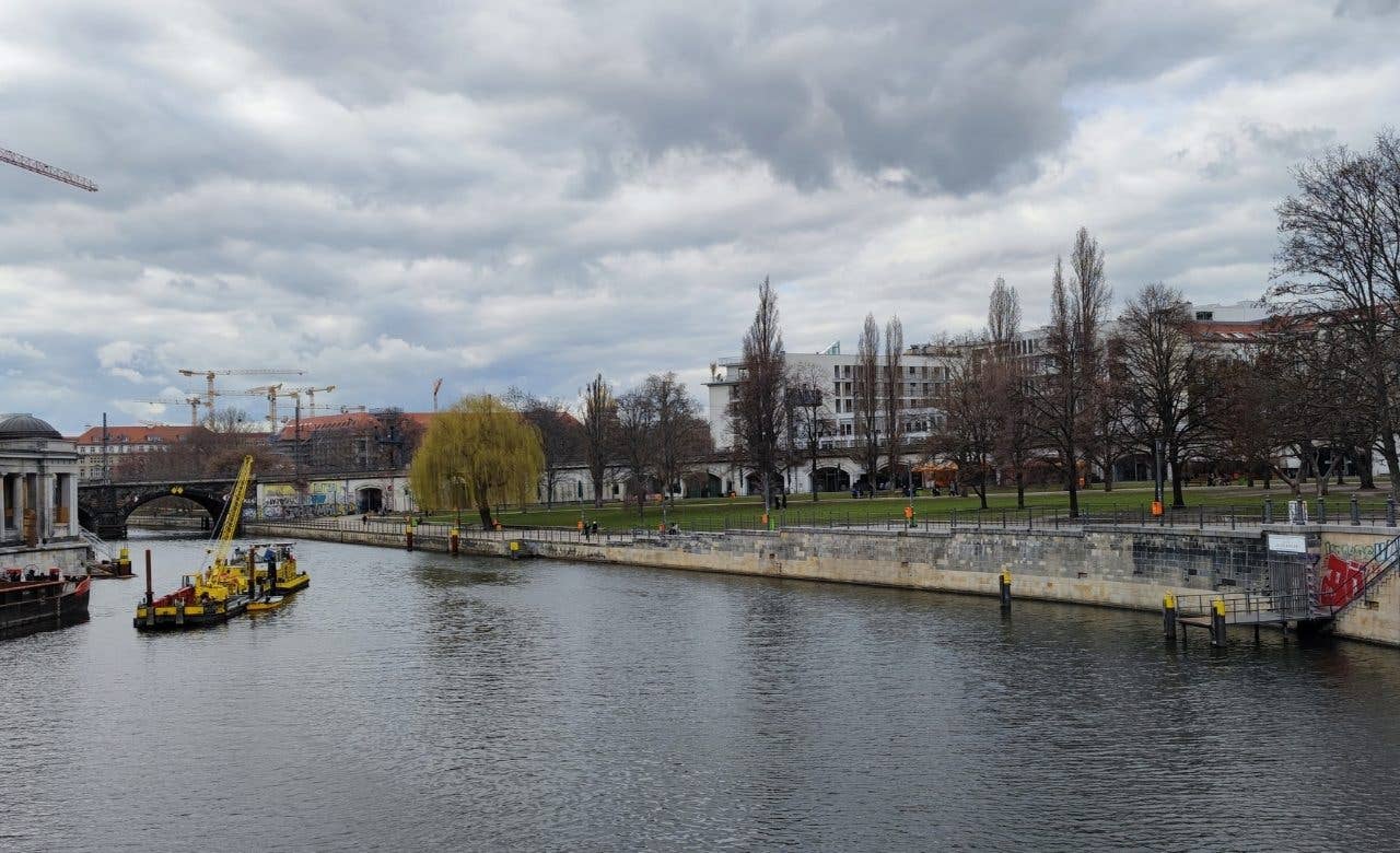 xiaomi mi 11 review photo main camera2